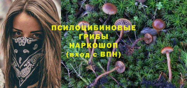 ПСИЛОЦИБИНОВЫЕ ГРИБЫ Алексин