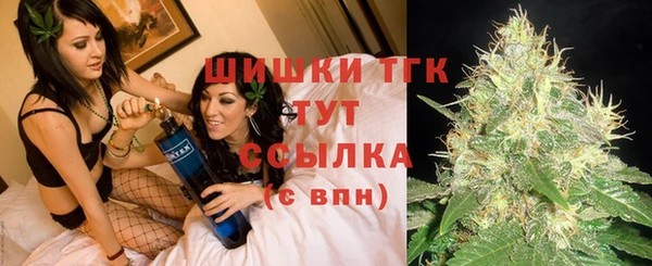 ПСИЛОЦИБИНОВЫЕ ГРИБЫ Алексин