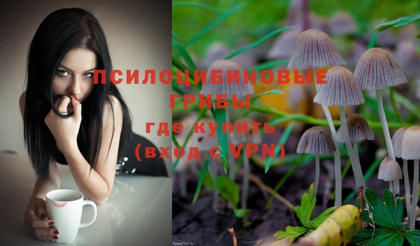 ПСИЛОЦИБИНОВЫЕ ГРИБЫ Алексин